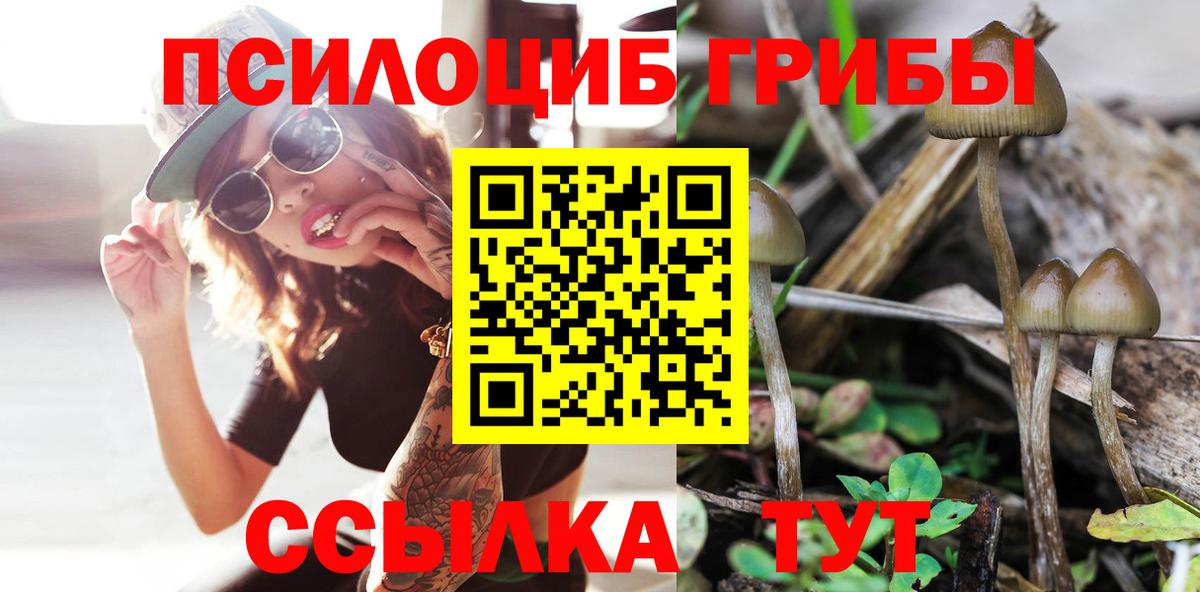Сергиев Посад  Галлюциногенные грибы MAGIC MUSHROOMS  Вход с VPN  закладки  Галлюциногенные грибы Psilocybine cubensis 